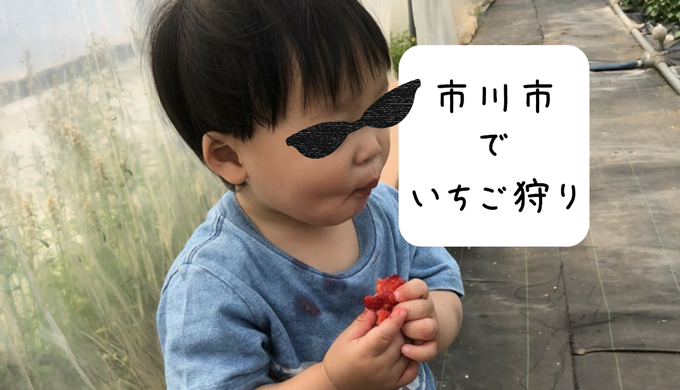 1歳児とおでかけ いちご狩りなら楽しめた 市川編 とたおのママ研究所