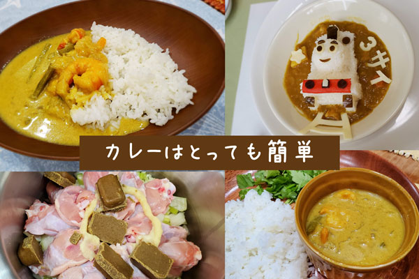 色々なカレーの写真